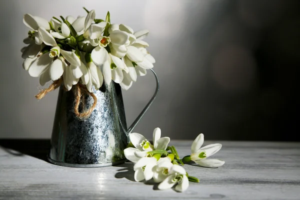Piękne Przebiśniegi w metalu wazon na szarym tle — Zdjęcie stockowe
