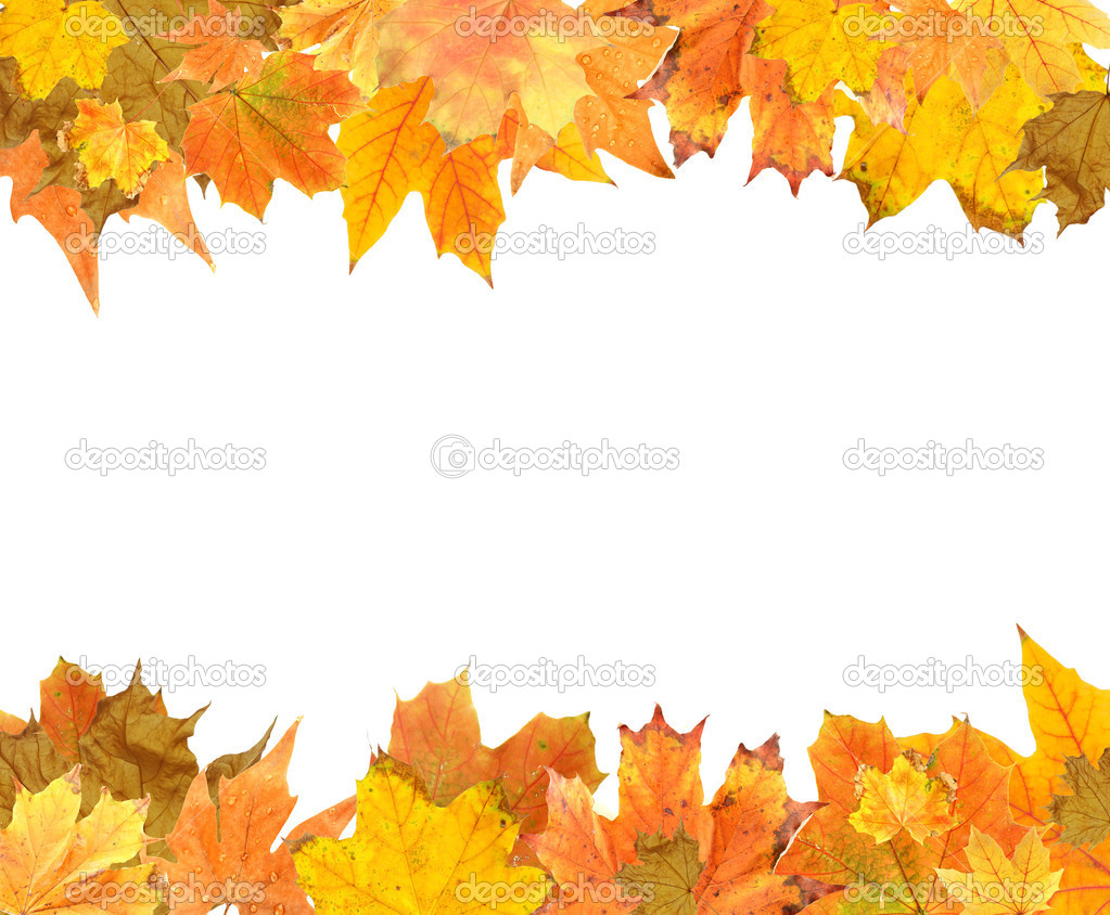 Beautiful colored autumn leaves isolated on white