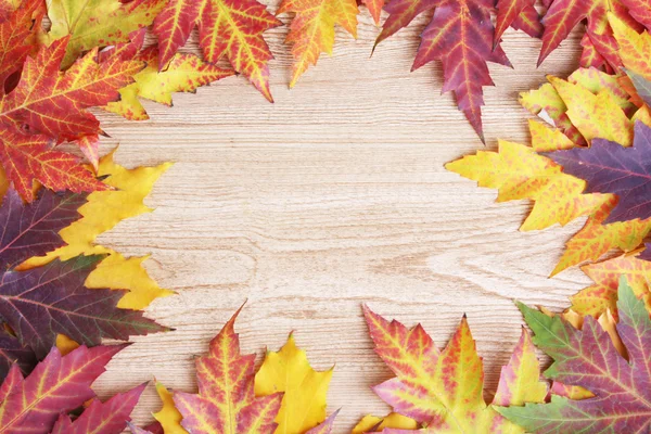 Vivid autumn maple leaves on wooden background — Stock Photo, Image