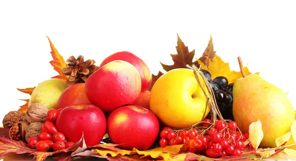 Hermosa cosecha de otoño y hojas aisladas en blanco — Foto de Stock