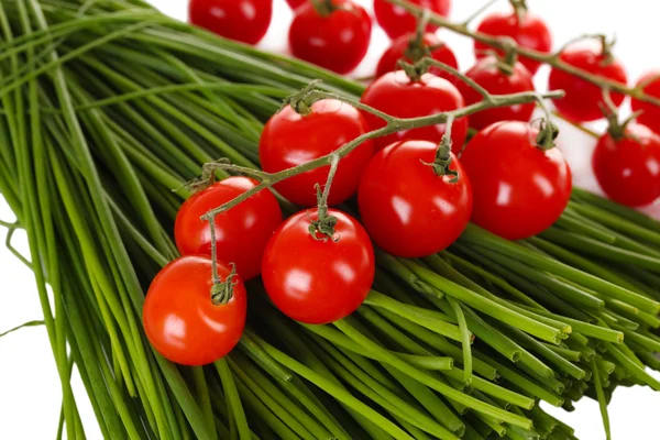 Fresh green rosemary and tomatoes cherry isolated closeup — Stock Photo, Image