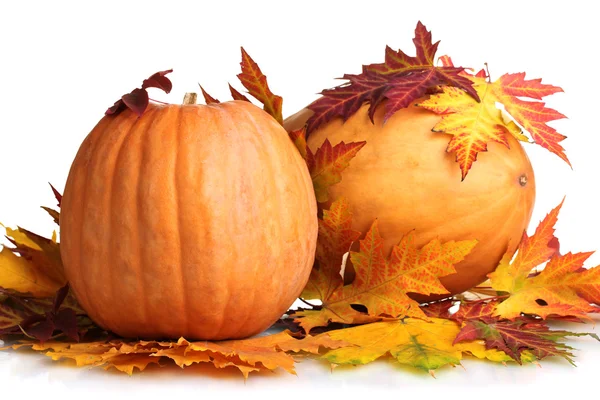 Two ripe pumpkins and autumn leaves isolated on white — Stock Photo, Image