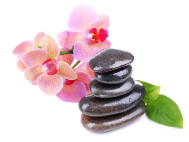 güzel çiçek açan orkide su damlaları ve üzerinde beyaz izole spa taşlar ile kompozisyon