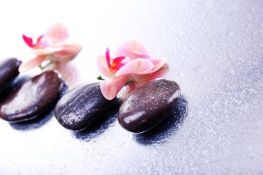 Su damlaları ve spa taşı, açık renkli güzel çiçek açan orkide ile kompozisyon