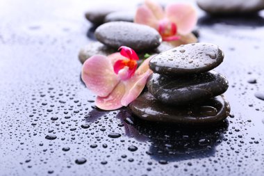Su damlaları ve spa taşı, açık gri renkli güzel çiçek açan orkide ile kompozisyon