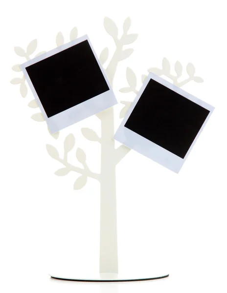 Holder in form of tree with instant photo cards isolated on white — Stock Photo, Image