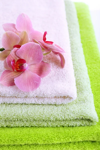 Orchideenblume und Handtücher, isoliert auf weiß — Stockfoto