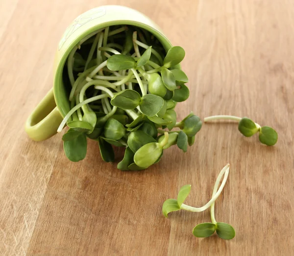 Groene jonge zonnebloem spruiten in cup op houten achtergrond — Stockfoto