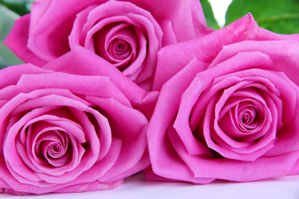 ピンクのバラは白で隔離されます。 — ストック写真