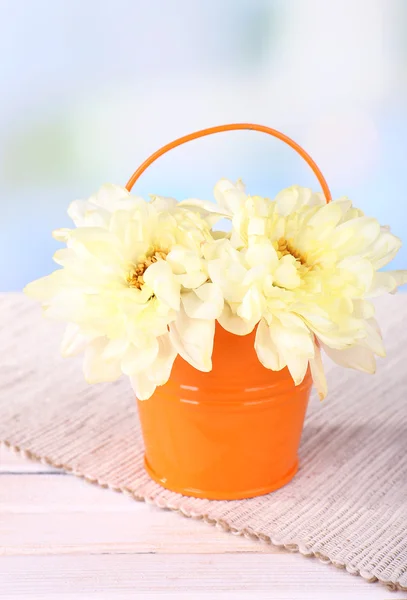 Beautiful chrysanthemum flowers in bucket on table on light background — Stock Photo, Image