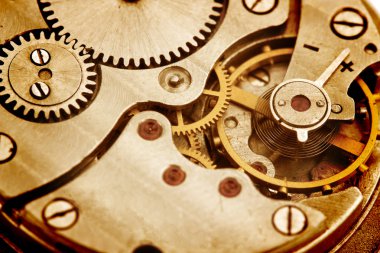 Clockwork Ayrıntılar, Pinyonlar ve tekerlekler portre
