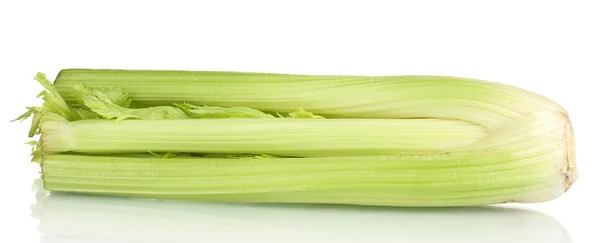 Fresh green celery isolated on whit — Stock Photo, Image