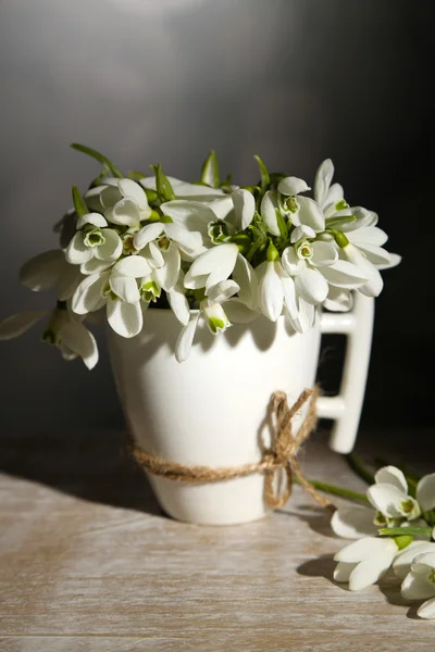 Bellissimi bucaneve in tazza su sfondo grigio — Foto Stock