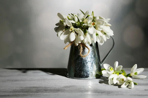 Piękne Przebiśniegi w metalu wazon na szarym tle — Zdjęcie stockowe
