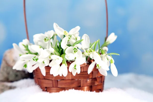 Mooi boeket van sneeuwklokjes in rieten mand op sneeuw — Stockfoto