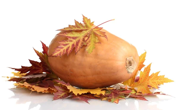 Ripe pumpkin and autumn leaves isolated on white — Stock Photo, Image