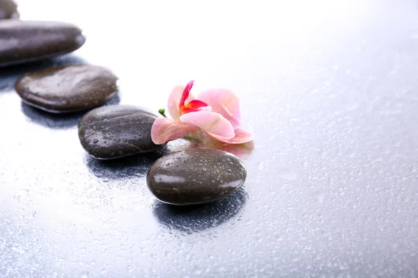 Composition with beautiful blooming orchid with water drops and spa stones, on light background — Stock Photo, Image