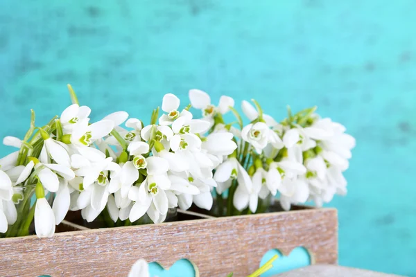 Beautiful snowdrops on blue background — Stock Photo, Image