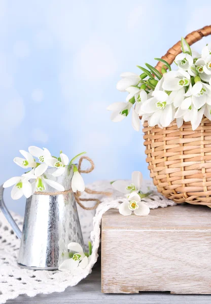 Beautiful snowdrops in wicker basket, on blue background — Stock Photo, Image