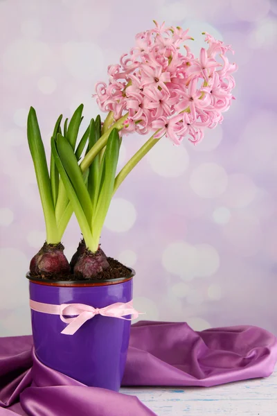 Pink hyacinth in pot on table on bright background — Stock Photo, Image