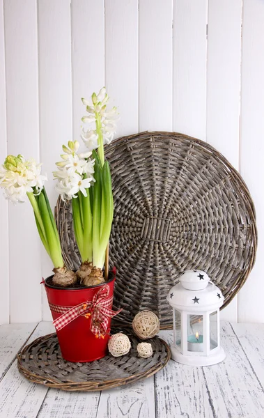 Vit hyacint i kruka med dekorativa lykta på bordet på trä bakgrund — Stockfoto