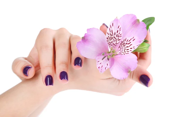 Beautiful woman hands with flower isolated on white — Stock Photo, Image