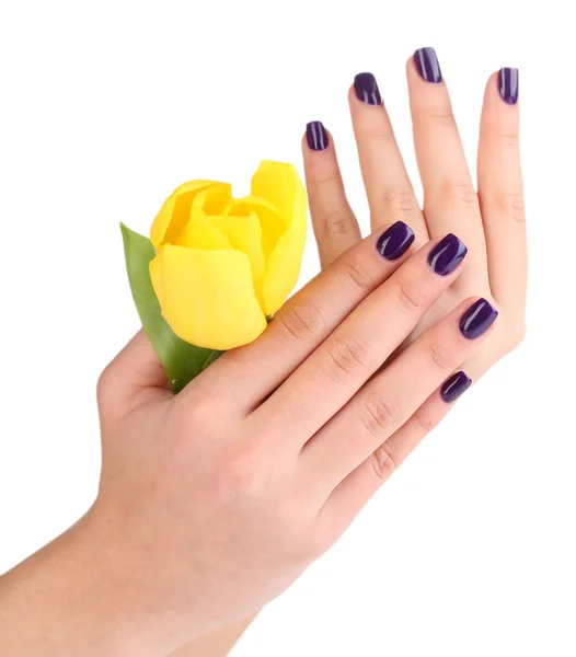 Beautiful woman hands with flower isolated on white — Stock Photo, Image