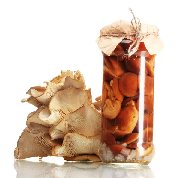 Delicious marinated mushrooms in the glass jar and oyster mushrooms isolated on white — Stock Photo, Image