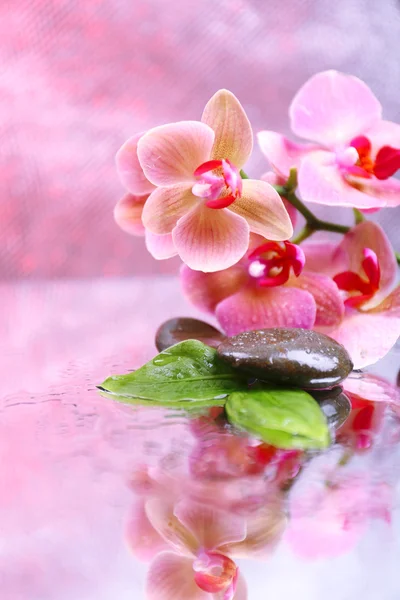 Güzel çiçek açan orkide su damlaları ve açık renk arka plan üzerinde spa taşlar ile kompozisyon — Stok fotoğraf