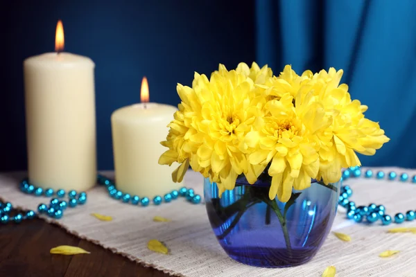 Beautiful chrysanthemum flowers in vase on table on dark blue background — Stock Photo, Image