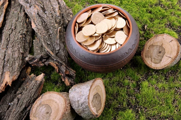 Monedas de oro en maceta de cerámica, sobre fondo de hierba verde —  Fotos de Stock