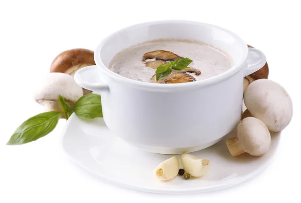 Supă de ciuperci în castron alb, pe farfurie, izolată pe alb — Fotografie, imagine de stoc