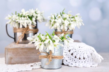 açık renkli üzerinde güzel kardelen