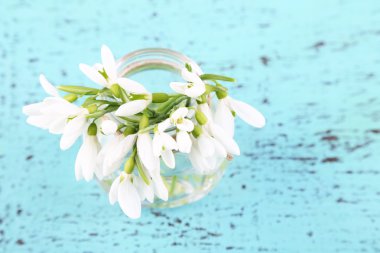 buket mavi ahşap zemin üzerinde güzel kardelen