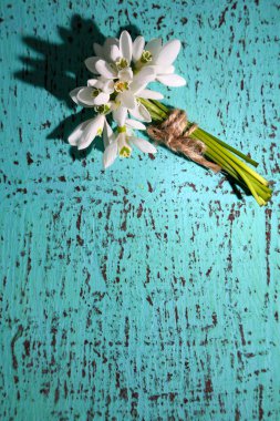 buket mavi ahşap zemin üzerinde güzel kardelen