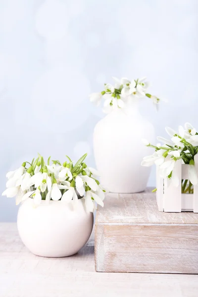 明るい背景に美しい snowdrops — ストック写真