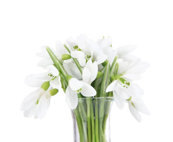 Красивые подснежники в вазе, изолированные на белом — стоковое фото