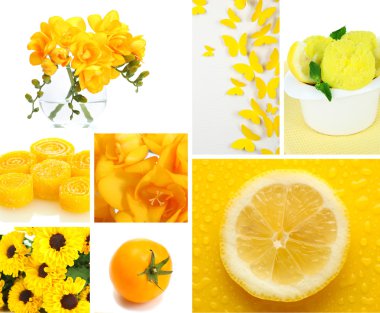 Sarı renkli fotoğrafların kolajı