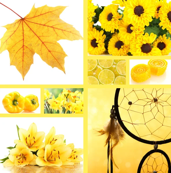Koláž fotografií ve žlutých barvách — Stock fotografie