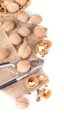 Fındıkkıran üzerinde beyaz izole ceviz ile