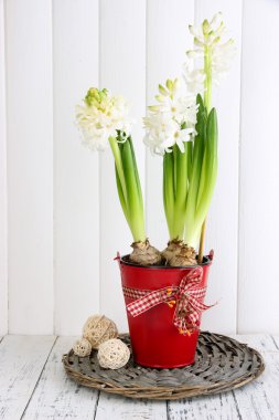 Dekoratif ahşap arka plan masaya topları ile tencerede beyaz sümbül