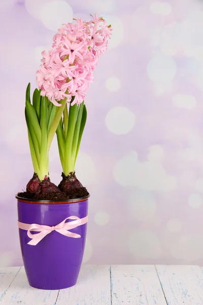 Rosa hyacint i kruka på bordet på ljus bakgrund — Stockfoto