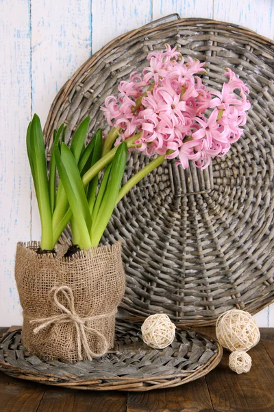 Roze hyacint in pot op tafel op houten achtergrond — Stockfoto