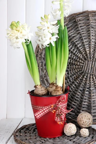Hyacinth putih dalam pot dengan bola dekoratif di atas meja pada latar belakang kayu — Stok Foto