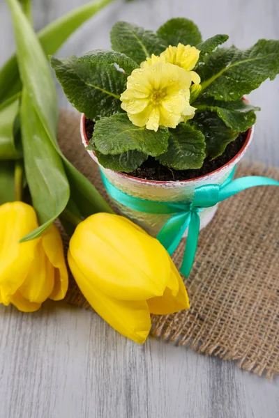 Primula gialla in vaso e tulipani su tovagliolo su fondo di legno — Foto Stock