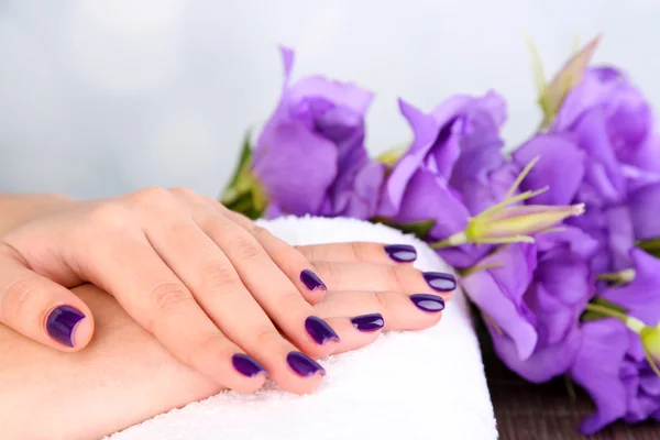 Beautiful woman hands with flowers on bright background — Stock Photo, Image