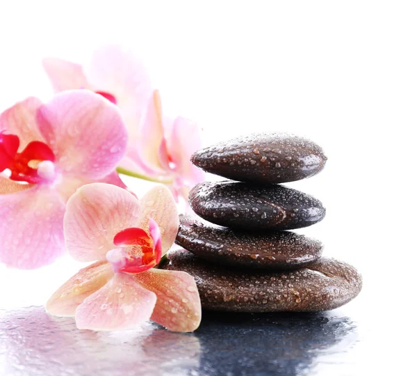 Composición con hermosa orquídea floreciente con gotas de agua y piedras de spa, sobre fondo claro — Foto de Stock