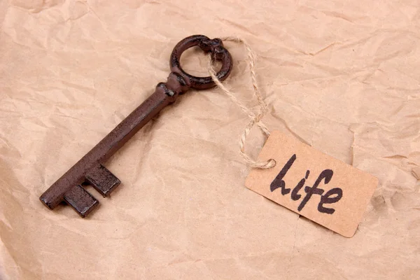 Key to life. Conceptual photo. On color background — Stock Photo, Image