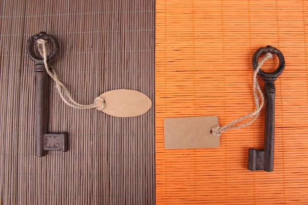 Schlüssel mit leerem Tag, auf farbigem Holzhintergrund — Stockfoto