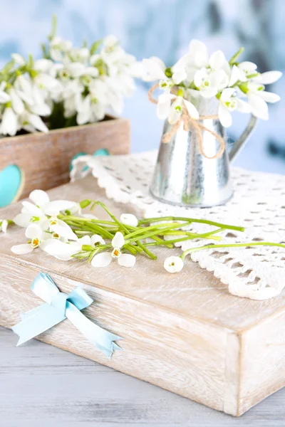 Beautiful spring composition with snowdrops — Stock Photo, Image